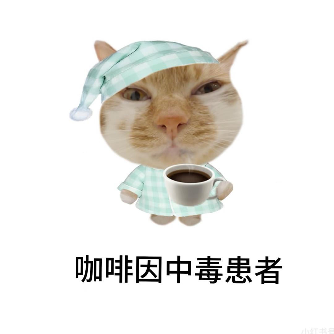 YYY¯\_*\(๑• ₃ •๑)_/¯