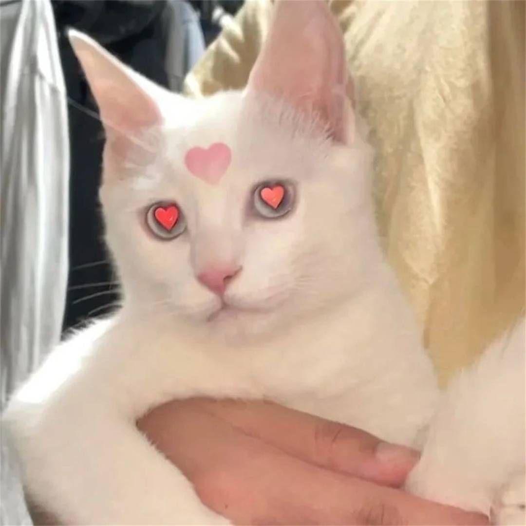 包子馒头