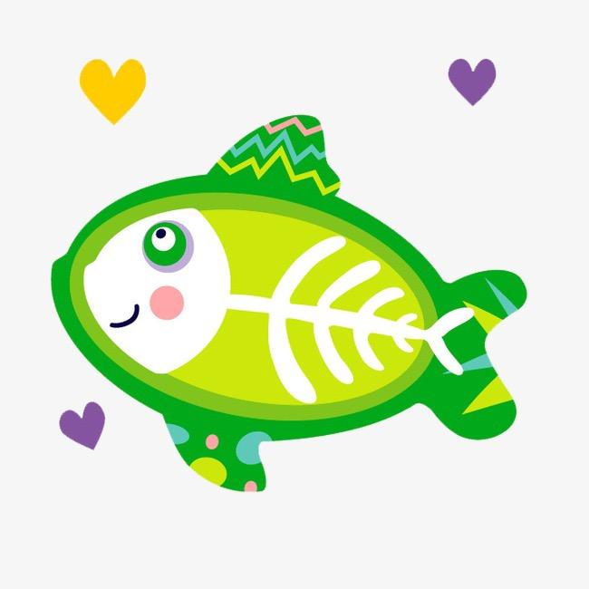 🌈维度水族🐟