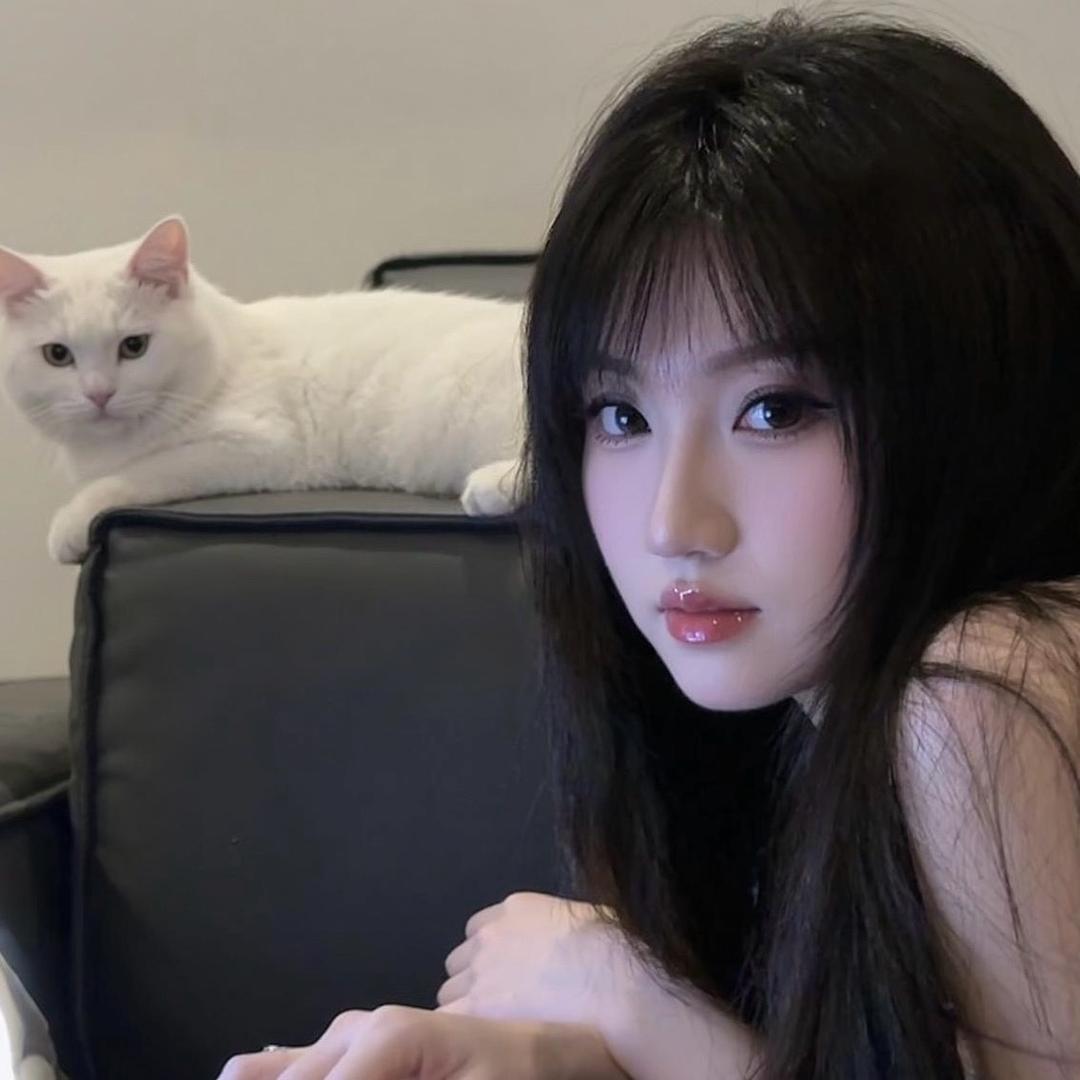 沙县公主🐱