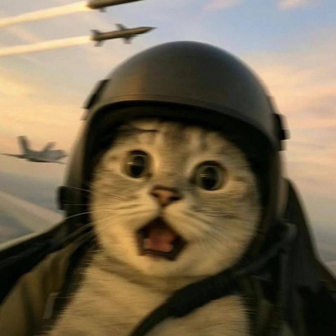 我在巴克什达飞机