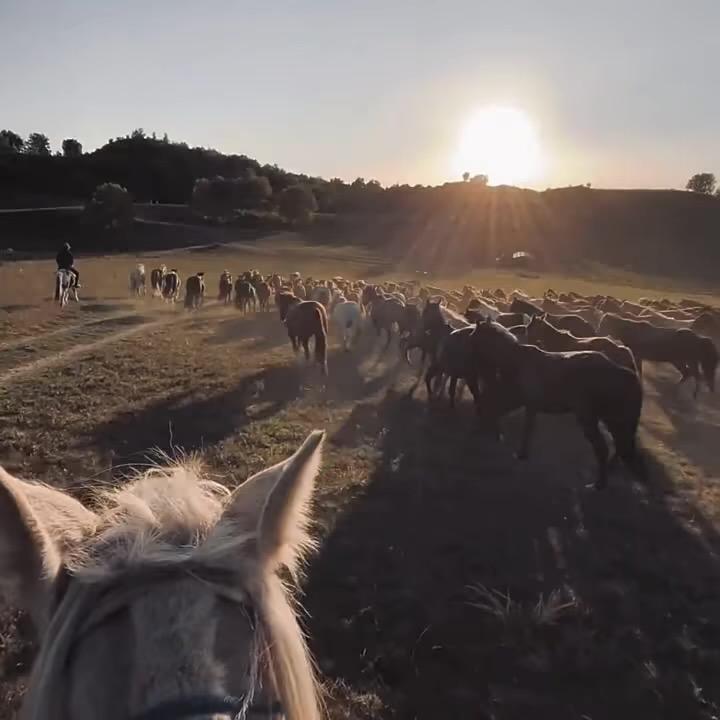 ㅤ夏天