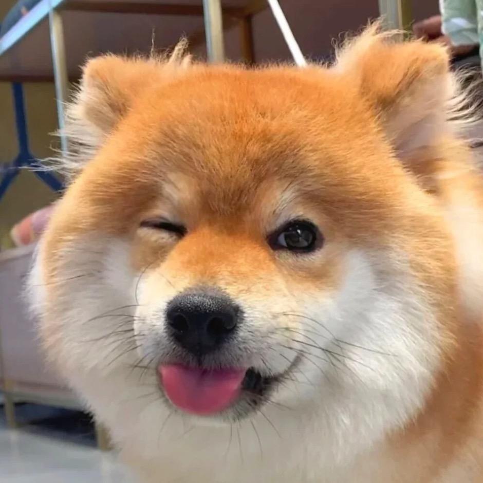 胡亦辰🇨🇳
