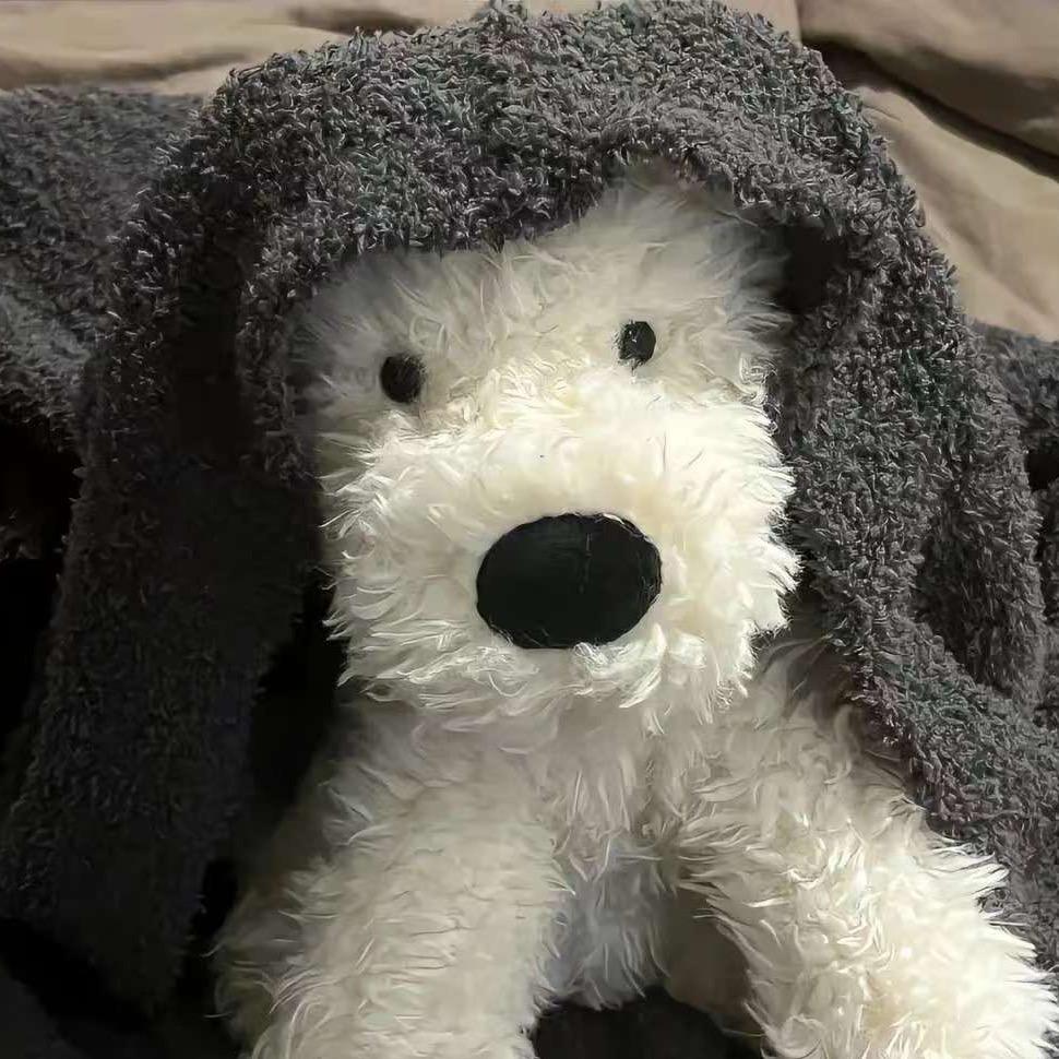 𝙍𝙖𝙥𝙠𝙖𝙩.