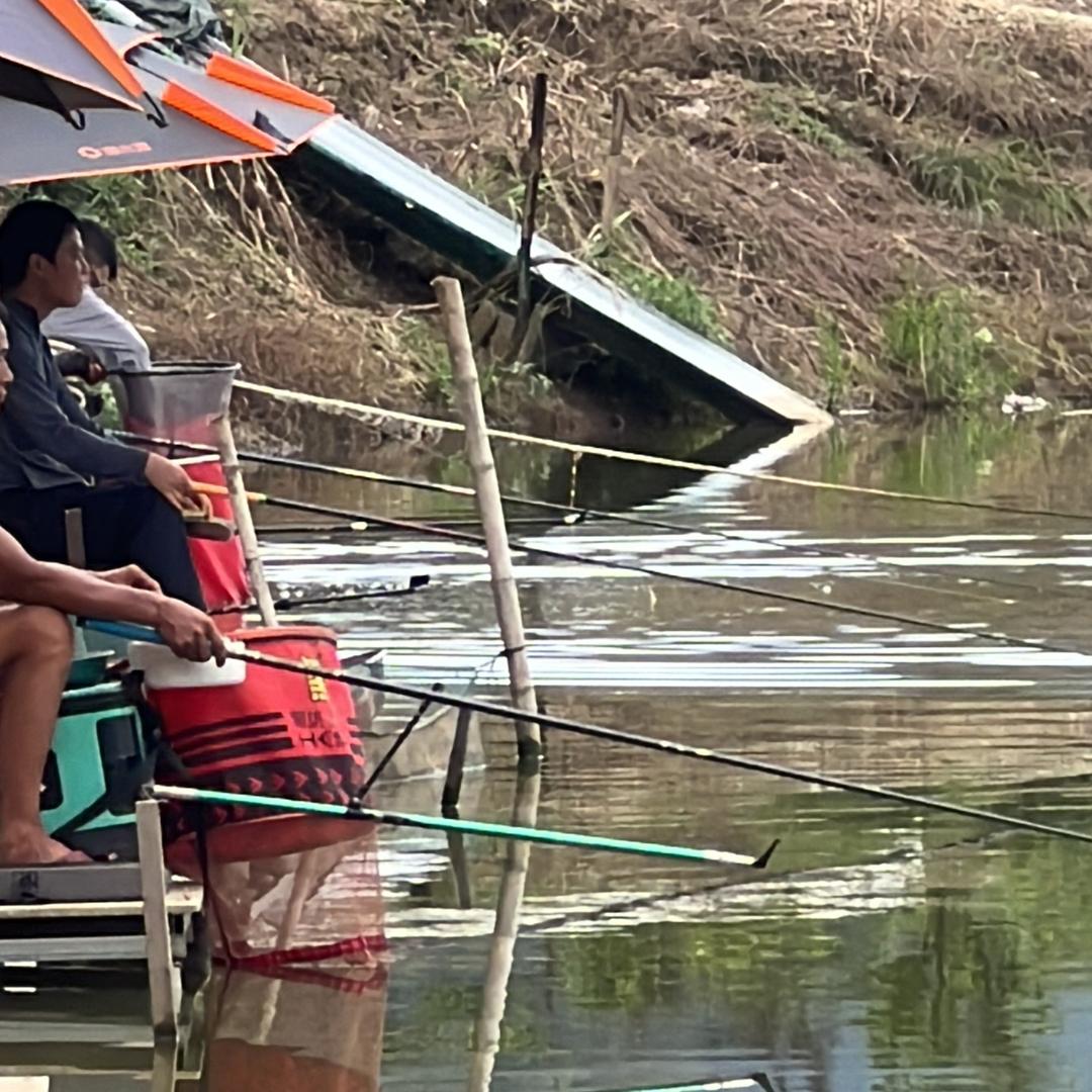 山坝园休闲垂钓场官方号