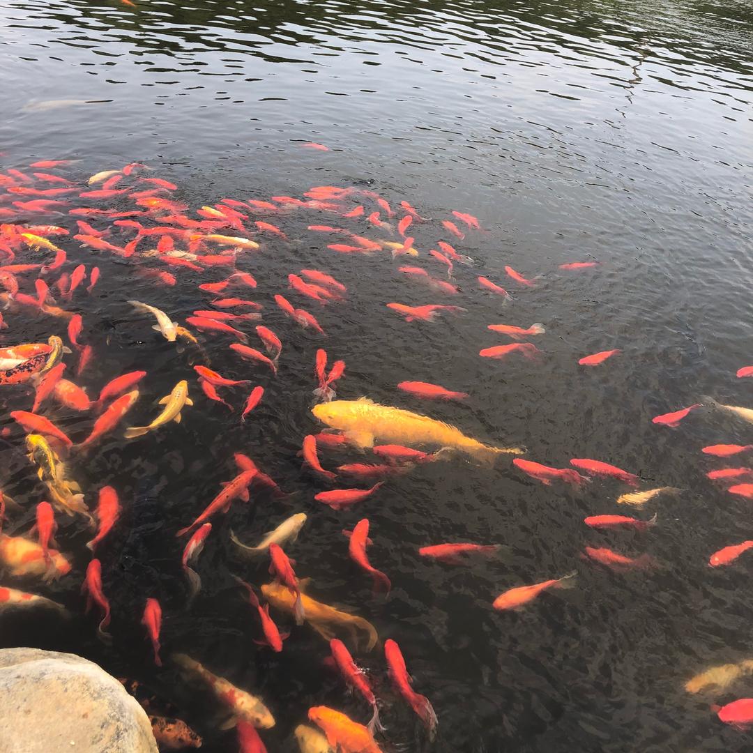 万