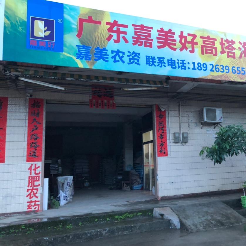 嘉美