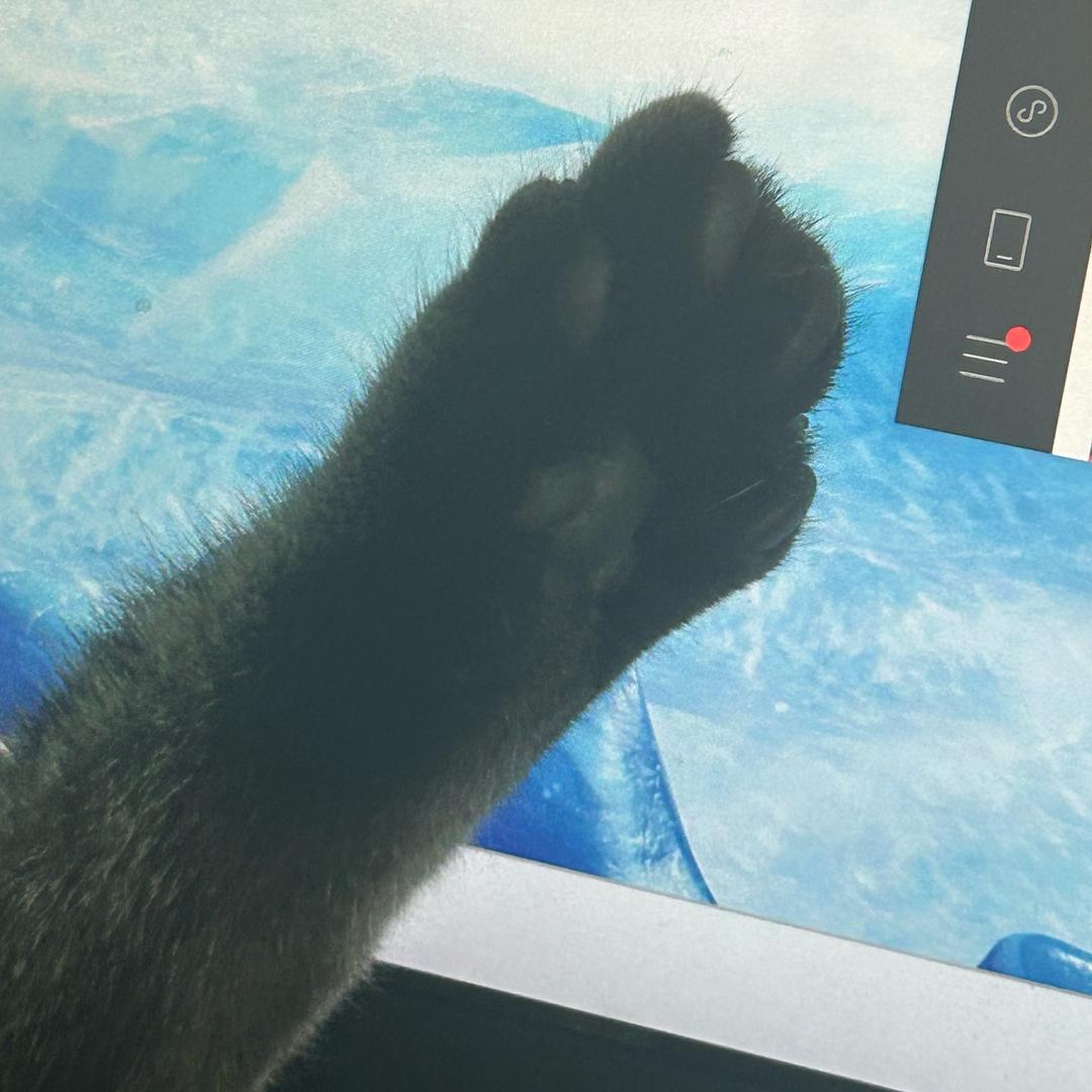 没有正事