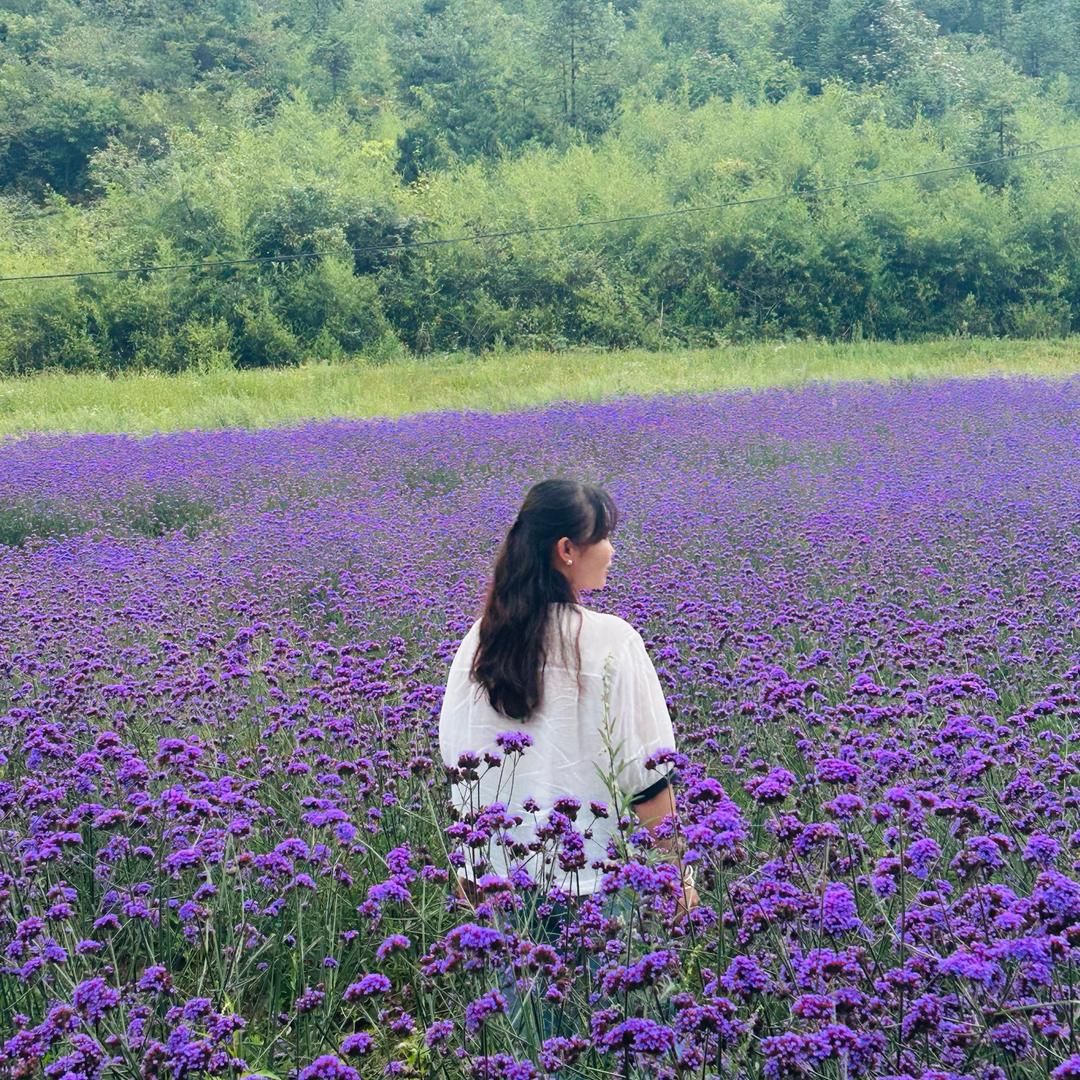 英子✨（不定时直播）