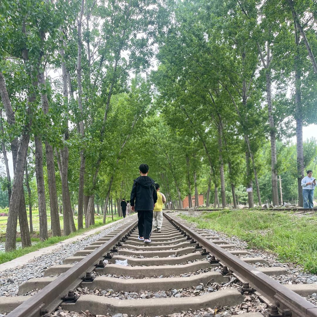 南阳诚安二手车行