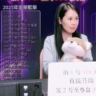 DJ阿柒（车载优盘）