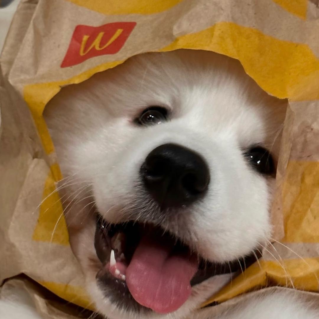 Yuuuu_小钰