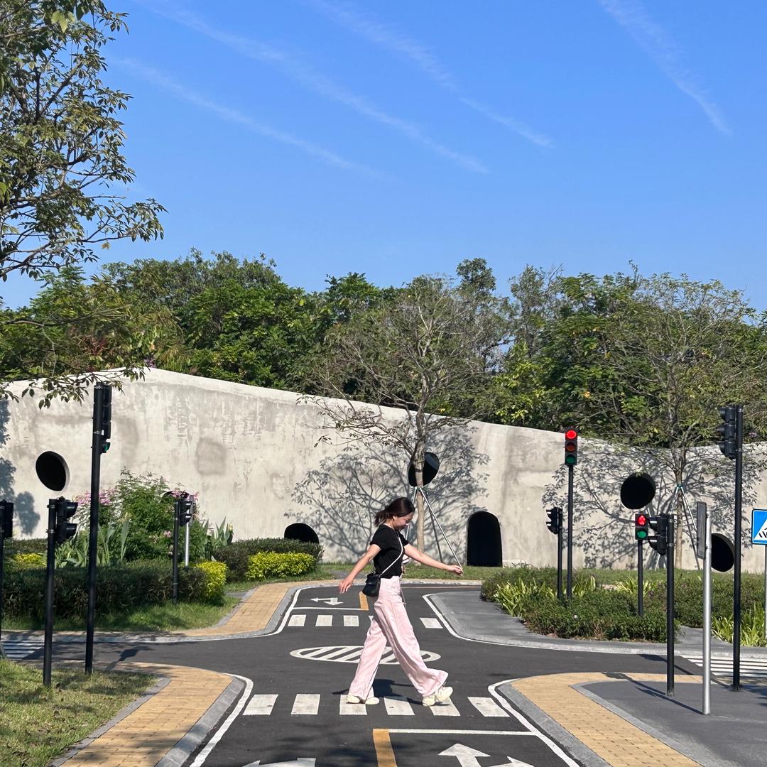 爱折腾的中年少女