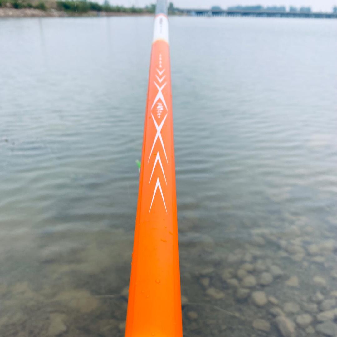 @狐狸爱吃鱼🐟