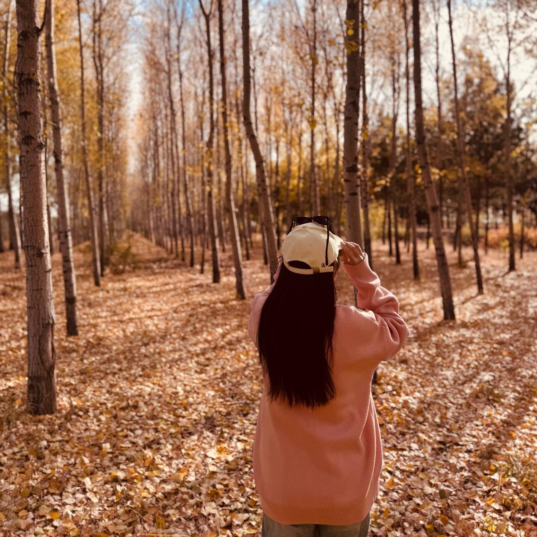 随缘的 瑞士卷🌞