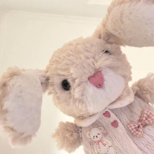 ʚ欣欣子的茶记ɞ