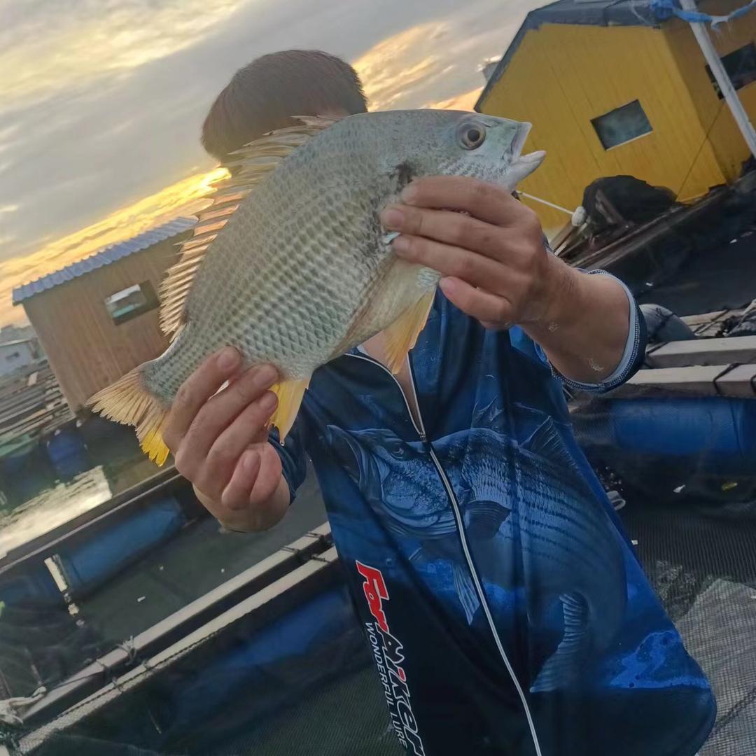 🎣小子