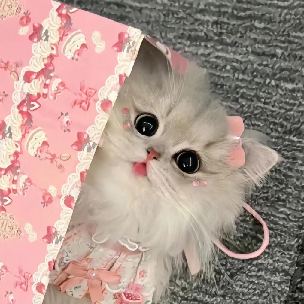 森森.