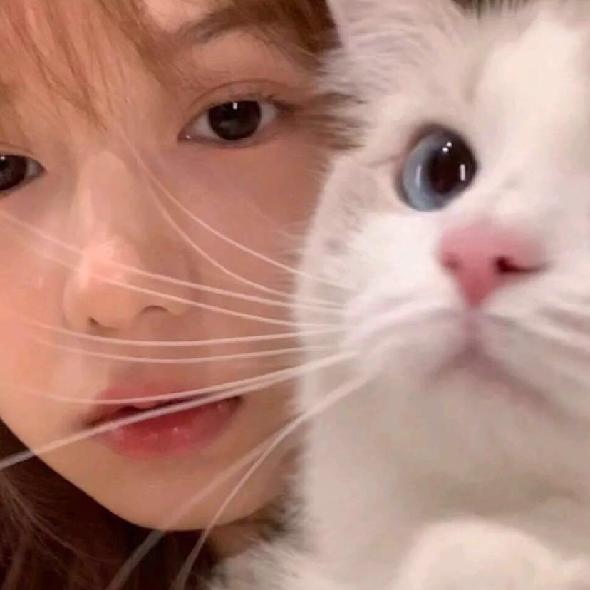 今天也想吃蛋挞