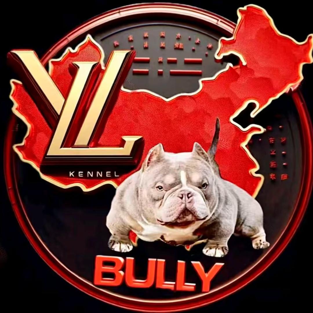 LV恶霸犬～TT
