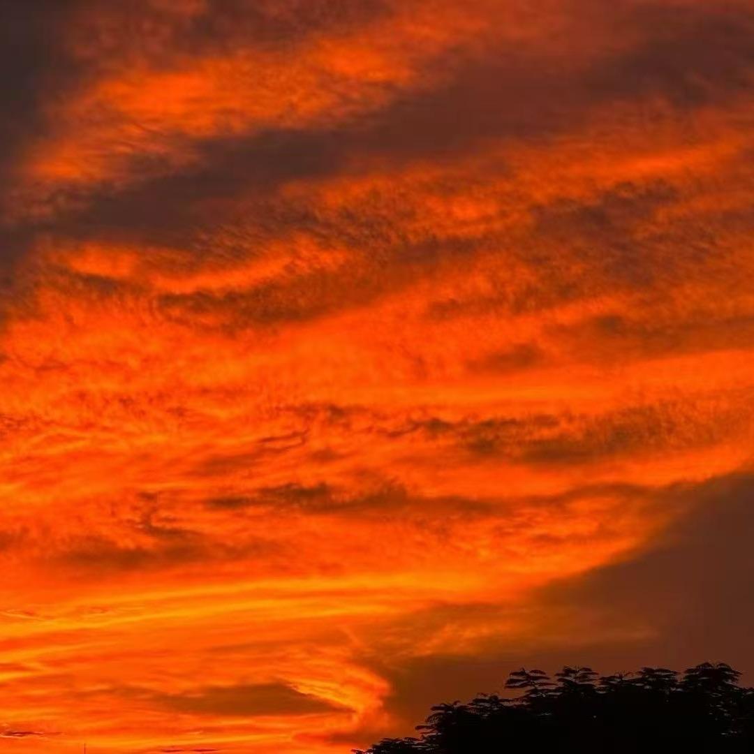 【燕姐小铺】活动专场