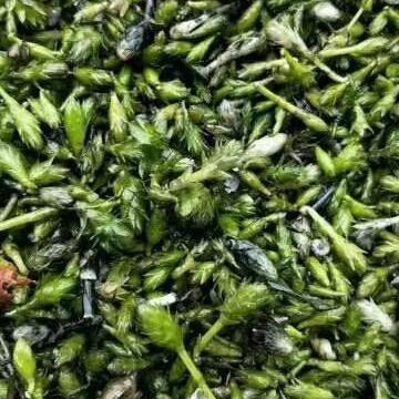 航航水产专业合作社