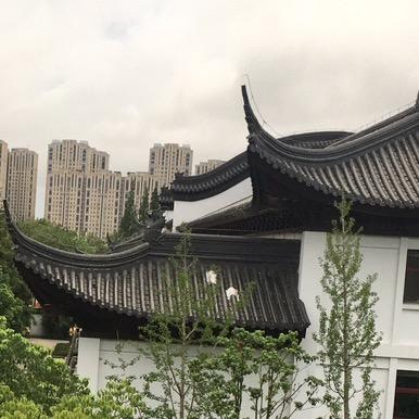 道涯