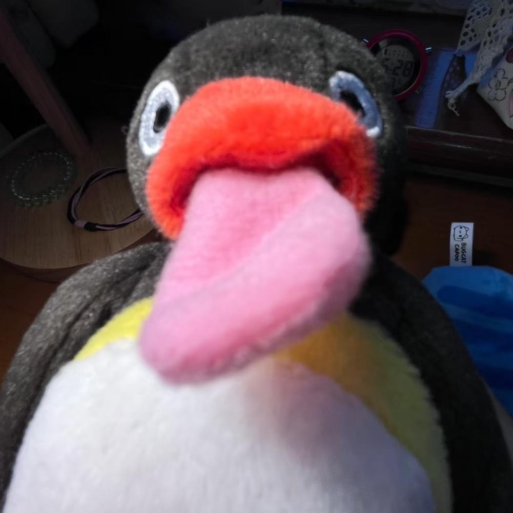 企鹅pingu