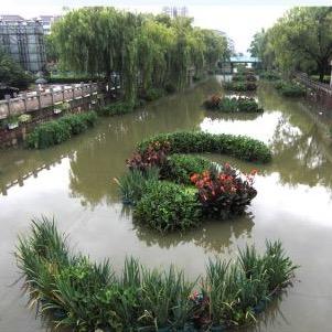 浩宇水生植物销售有限公司