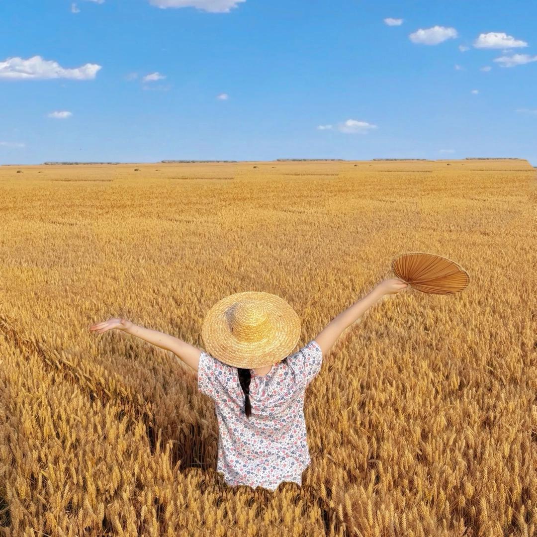 国优惠农华中部