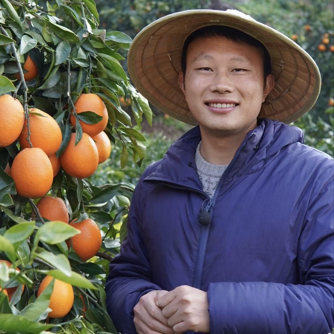 安逸乡 奉节脐橙
