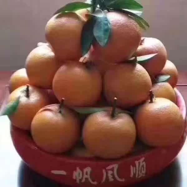 勤俭孝和