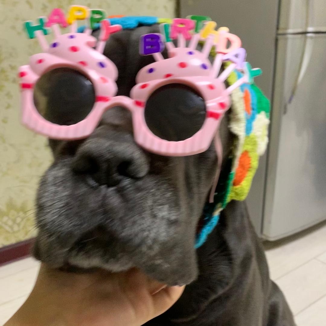 卡斯罗中的拉不多