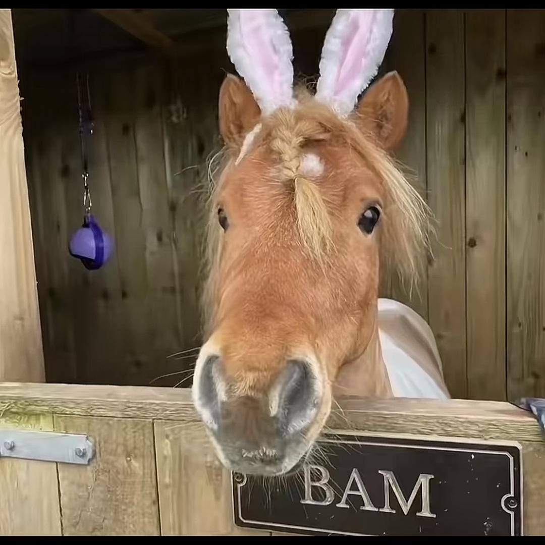 黄油美式大王🧈