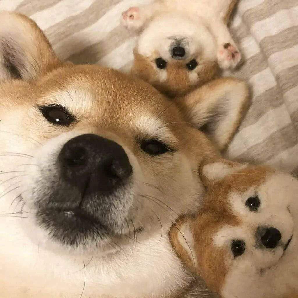 1212