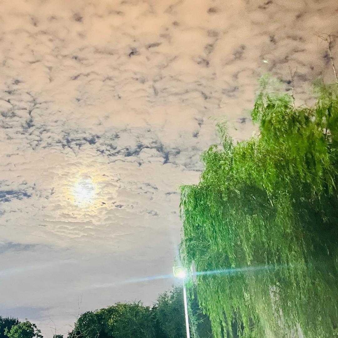 凡尘