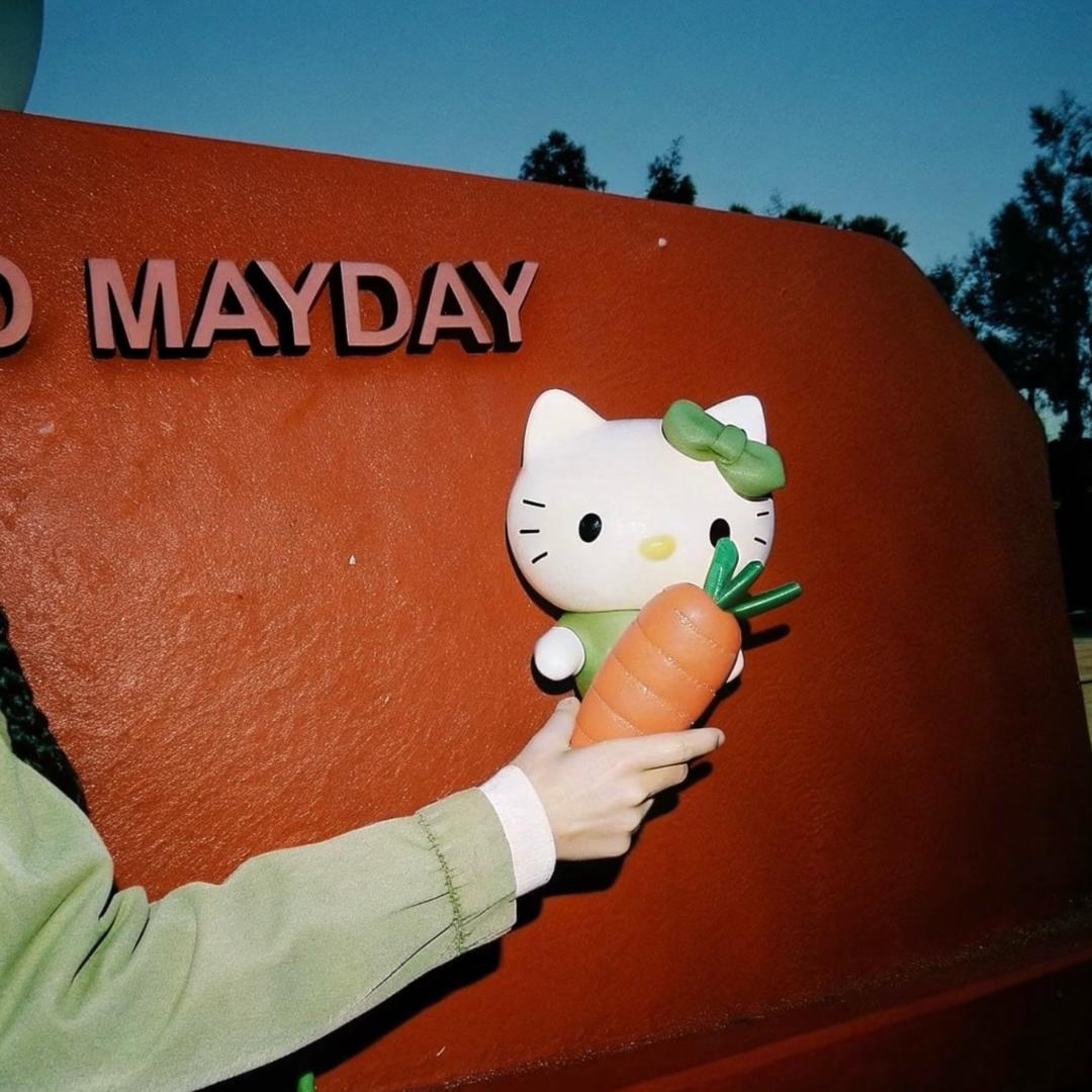 李得行🥕(贵州糯米饭版)