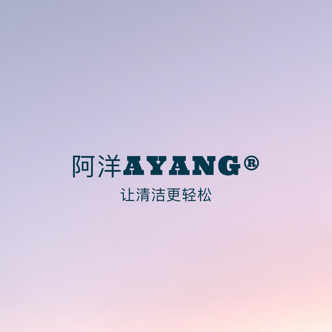 阿洋洗车机（工厂店）