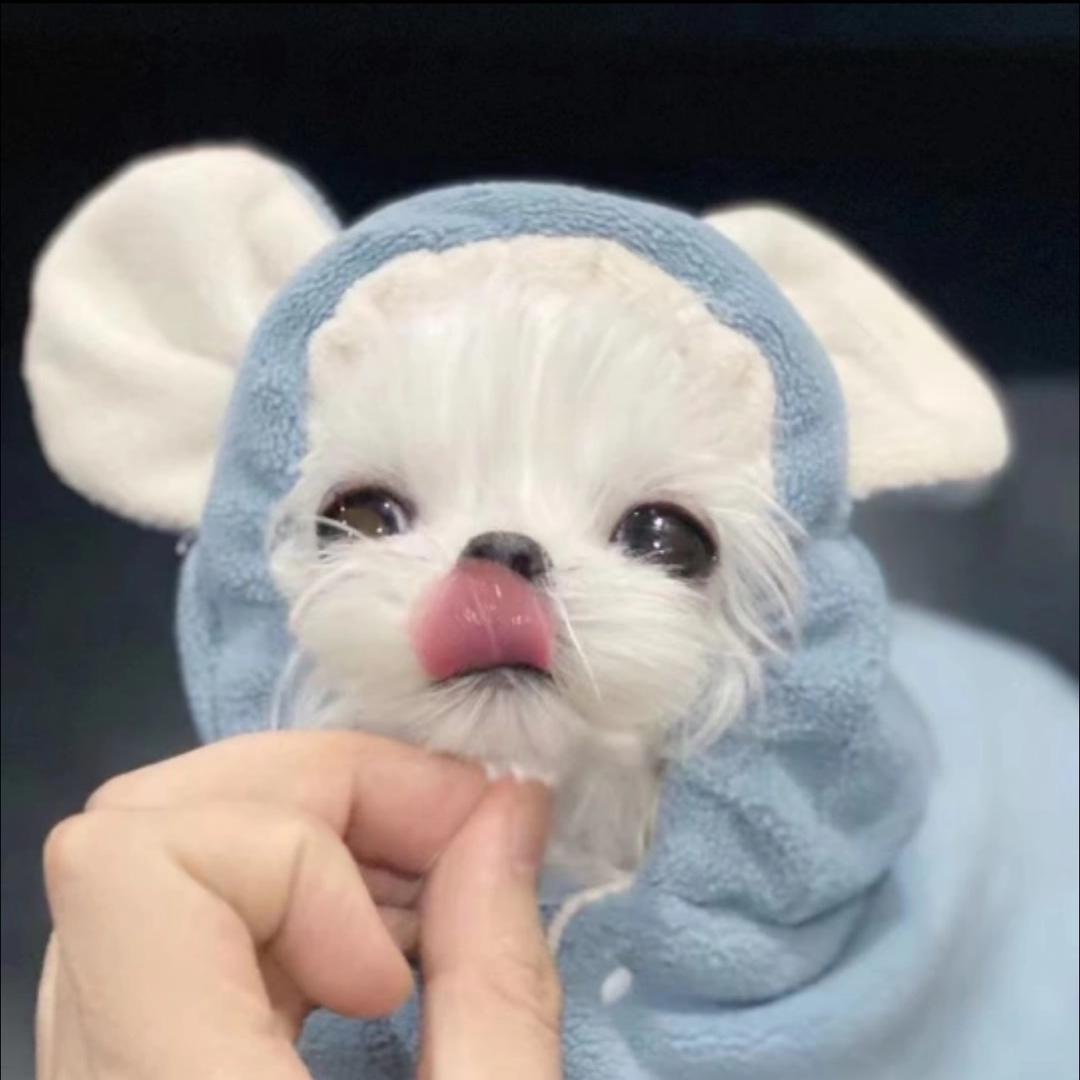 Qi