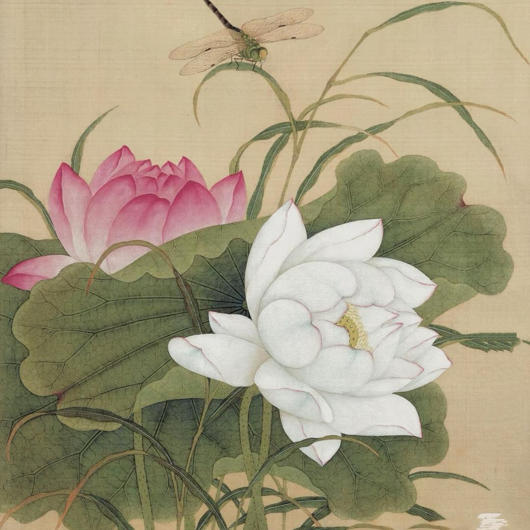 织只小羊工作室