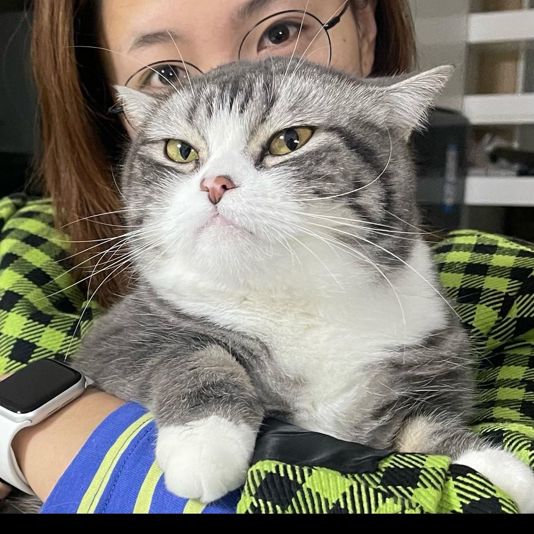 猛猛睡不醒