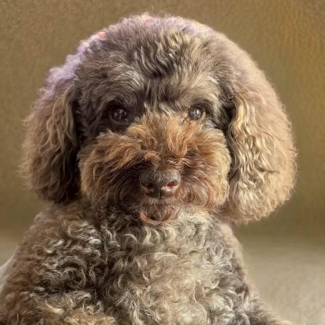 CHN🇨🇳乖宝爱美食