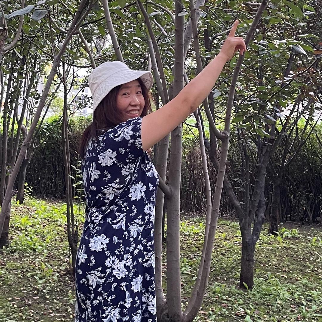 紫芯萝卜