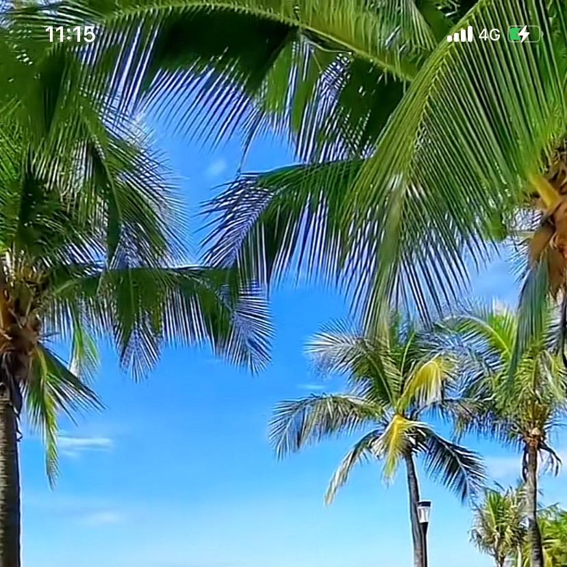 91359942716