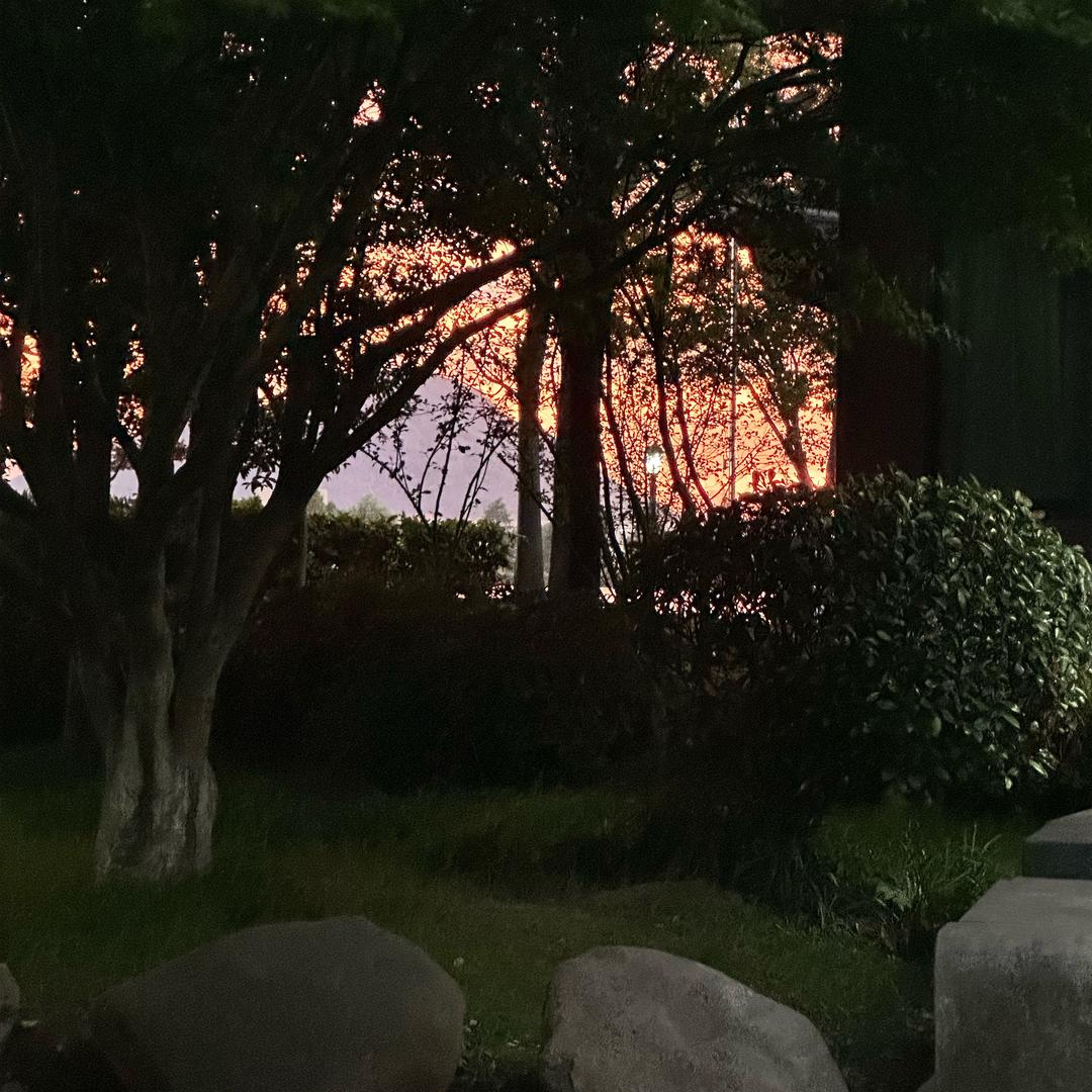 叫我小陈