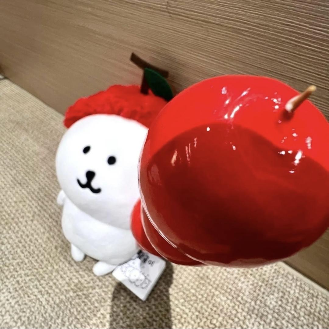 赵文婕