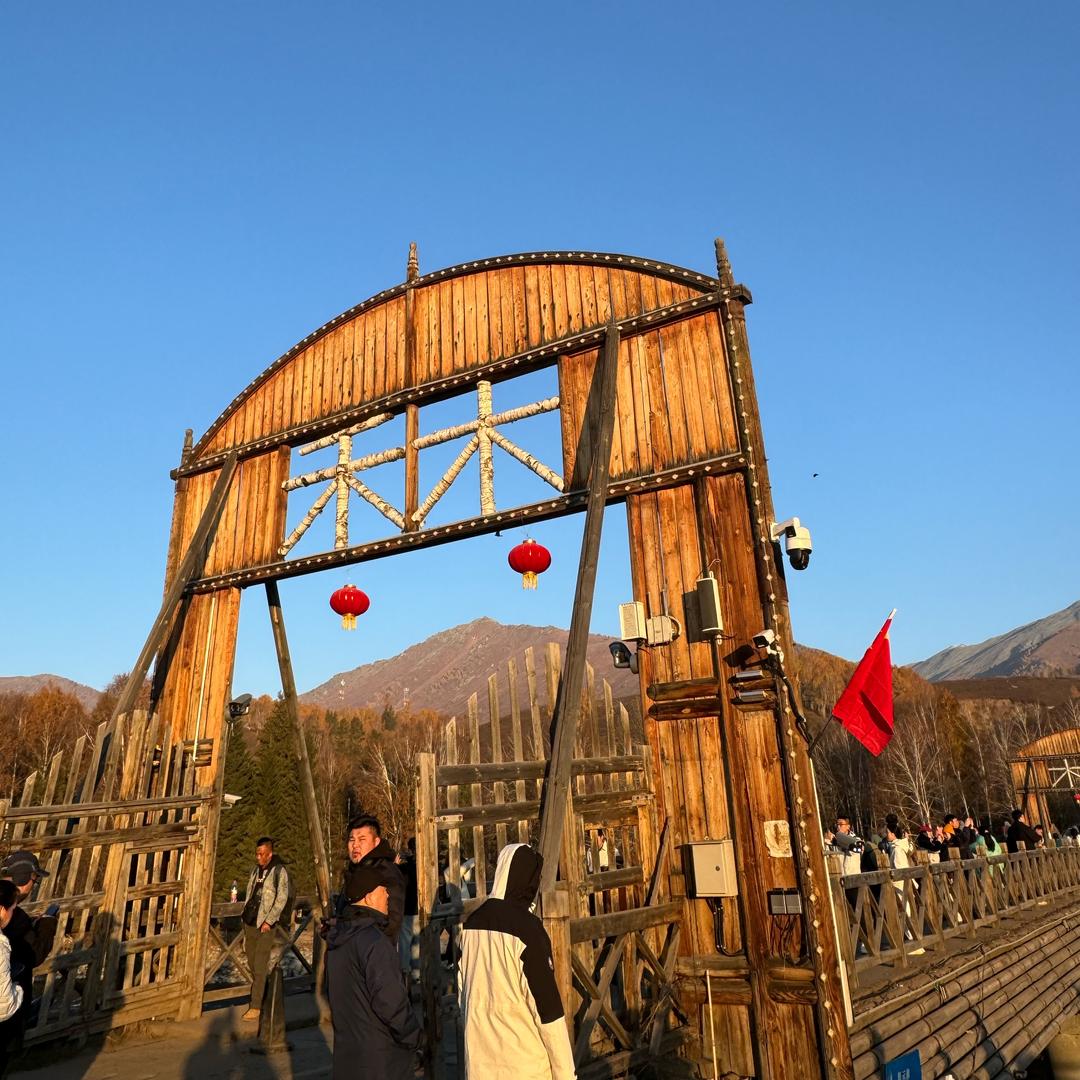 北极熊🐻‍❄️