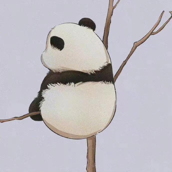 樊品