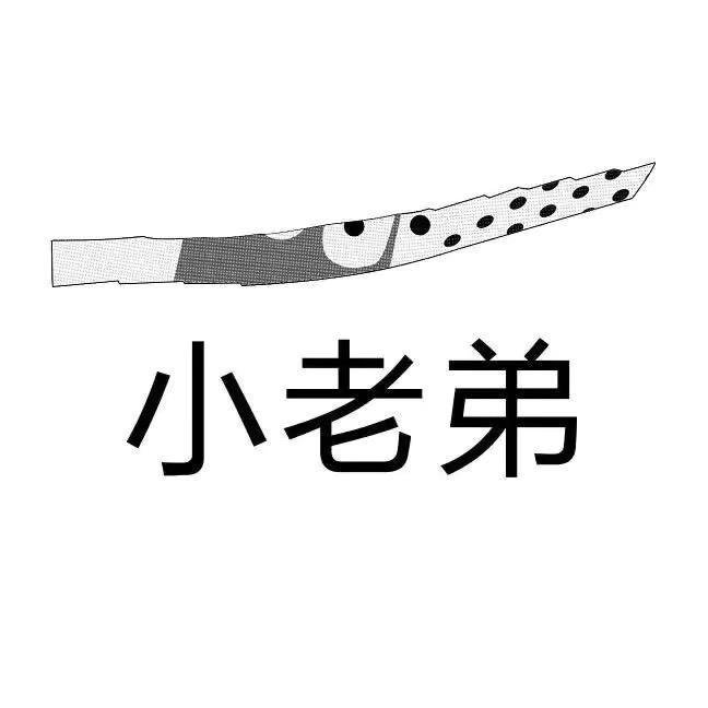 小老弟