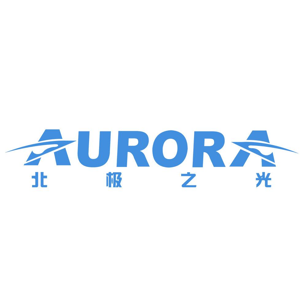 北极之光车灯